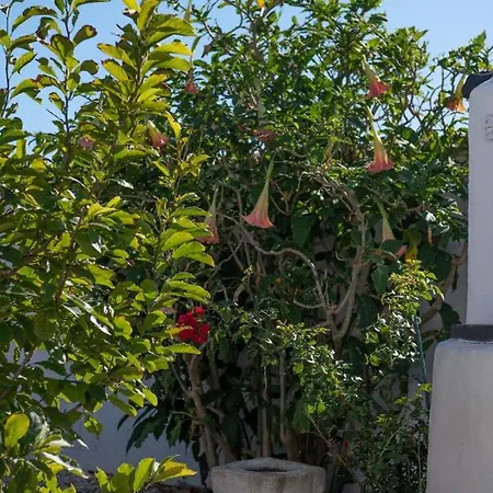 Apartment Anos Locos *