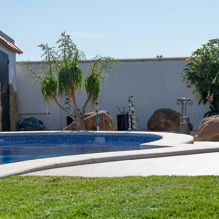 Anos Locos Conil De La Frontera